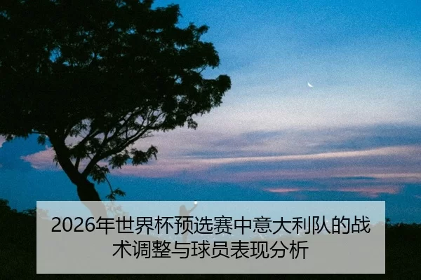nian-shi-jie-bei-yu-xuan-sai-zhong-yi-da-li-dui-de-zhan-shu-tiao-zheng-yu-qiu-yuan-biao-xian-fen-xi-2-969.jpg