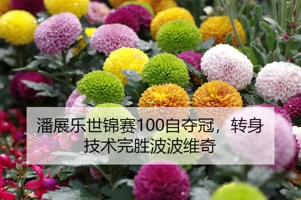 潘展乐世锦赛100自夺冠，转身技术完胜波波维奇