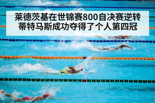 swimming pool competition