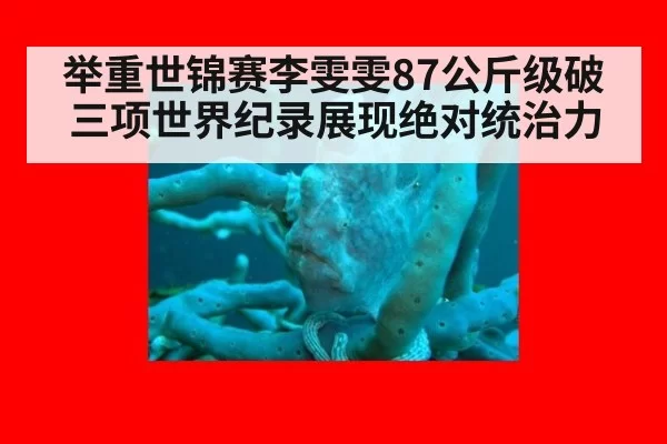 举重世锦赛李雯雯87公斤级破三项世界纪录展现绝对统治力